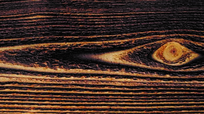 Karbonisiertes Holz (Flamon10) aus sibirischer Lärche