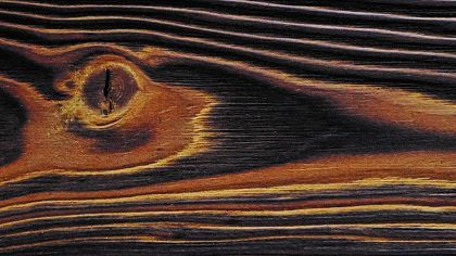 Karbonisiertes Holz (Flamtec10) aus sibirischer Lärche